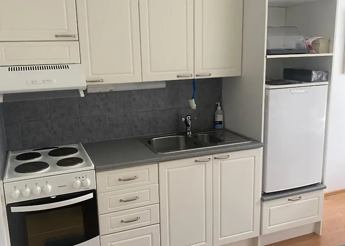 公寓 Bjoerkboda Bjorkboda